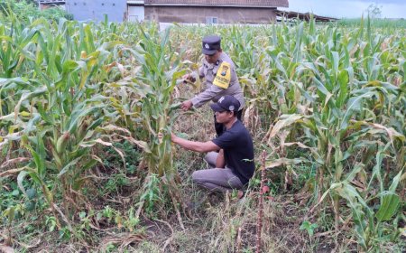 Bhabinkamtibmas Polres Malang Jadi Penghubung Program Ketahanan Pangan