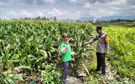 Jaga Produksi Pangan, Polres Malang Bangun Sinergi dengan Kelompok Tani