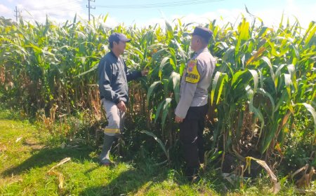 Polisi Hadir di Tengah Petani, Jaga Rantai Pangan Tetap Berjalan