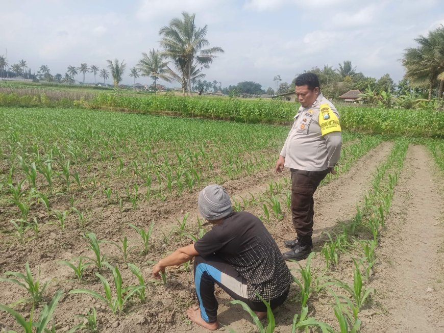 Polres Malang Kawal Hasil Pertanian untuk Dukung Ketahanan Pangan